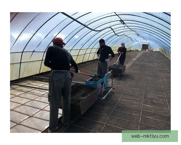 广东大胜吉林三利好齐现新希望